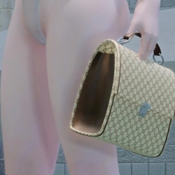 手提包~Handbag Addicts V1