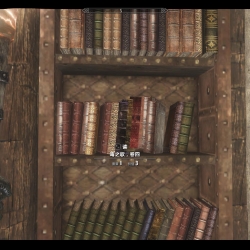 (汉化)Dragonborn Book Bounds Fix v1.0 龙裔DLC书籍摆放修正