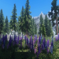 ▓▲ 更新V2.5B天际植被大修（SFO）-Skyrim Flora Overhaul ▼▓