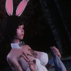 纳德里尔兔女郎套装~Nadriel's Bunny Girl Outfit, Converted to Skyrim 1.0.2