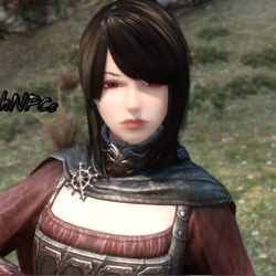 【DragonsReach mod】DragonsReach NPC 天际NPC独立美化1.0版！！！！