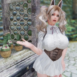 【DragonsReach MOD】Woodsnow®改衣店 Shepherdess 牧羊女（暂时这么叫吧）改了一下 好久不见大家有想我么？？？