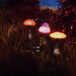 ▲5.30更新final.real 几只蘑菇随从以及一个蘑菇藏身处-Mushroom Followers and the Sanctuary▼